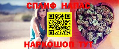 ГАЛЛЮЦИНОГЕННЫЕ ГРИБЫ Будённовск