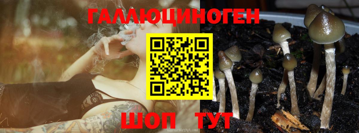 Назарово  Псилоцибиновые грибы Psilocybine cubensis  Вход с VPN  Псилоцибиновые грибы мухоморы 